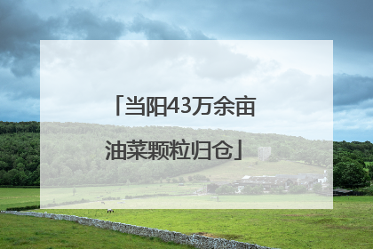 当阳43万余亩油菜颗粒归仓