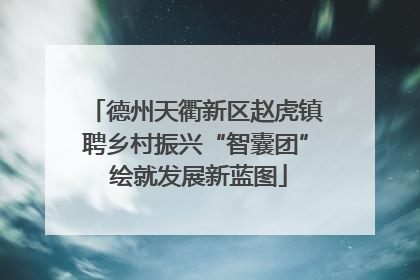 德州天衢新区赵虎镇聘乡村振兴“智囊团” 绘就发展新蓝图