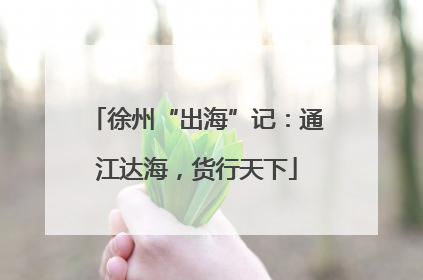 徐州“出海”记：通江达海，货行天下
