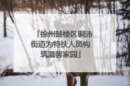 徐州鼓楼区铜沛街道为特扶人员构筑温馨家园