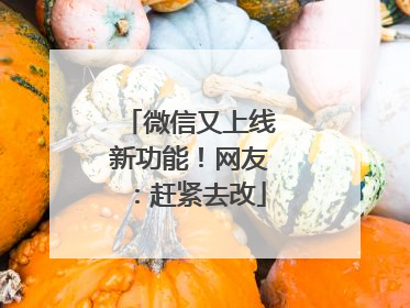 微信又上线新功能！网友：赶紧去改