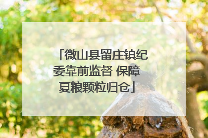 微山县留庄镇纪委靠前监督 保障夏粮颗粒归仓