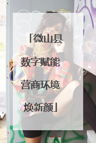 微山县数字赋能营商环境焕新颜