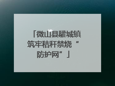 微山县驩城镇筑牢秸秆禁烧“防护网”