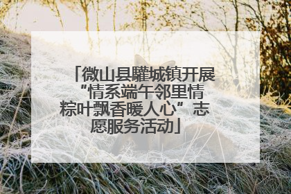 微山县驩城镇开展“情系端午邻里情 粽叶飘香暖人心”志愿服务活动