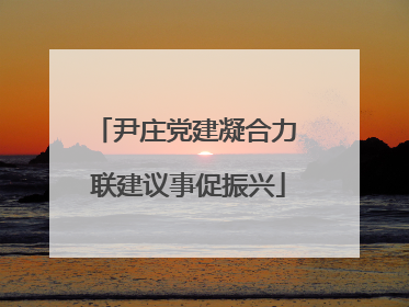 尹庄党建凝合力 联建议事促振兴