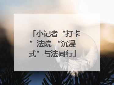 小记者“打卡”法院 “沉浸式”与法同行