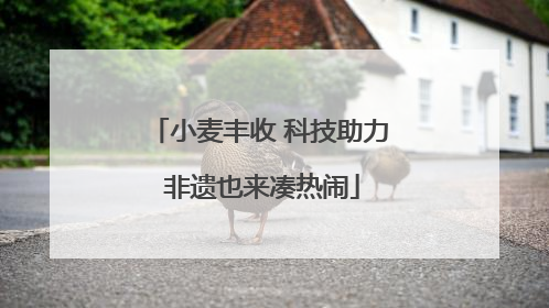 小麦丰收 科技助力 非遗也来凑热闹