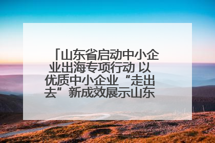 山东省启动中小企业出海专项行动 以优质中小企业“走出去”新成效展示山东产业发展新形象