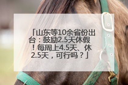 山东等10余省份出台：鼓励2.5天休假！每周上4.5天、休2.5天，可行吗？