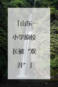 山东一小学原校长被“双开”