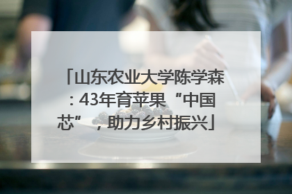 山东农业大学陈学森：43年育苹果“中国芯”，助力乡村振兴