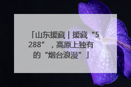 山东援藏｜援藏“5288”，高原上独有的“烟台浪漫”