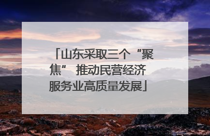 山东采取三个“聚焦” 推动民营经济服务业高质量发展
