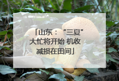 山东：“三夏”大忙将开始 机收减损在田间