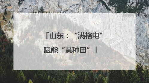 山东：“满格电”赋能“慧种田”