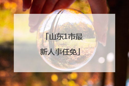 山东1市最新人事任免
