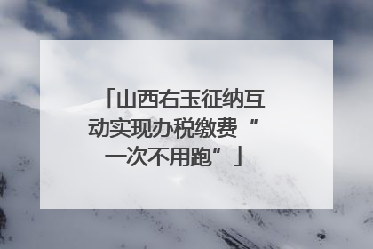 山西右玉征纳互动实现办税缴费“一次不用跑”