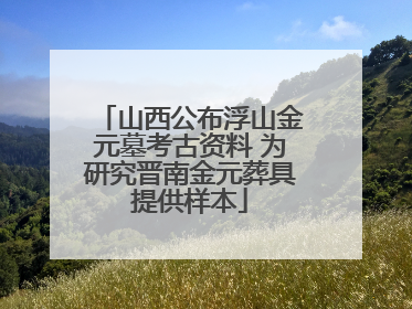 山西公布浮山金元墓考古资料 为研究晋南金元葬具提供样本