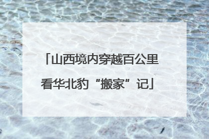 山西境内穿越百公里 看华北豹“搬家”记