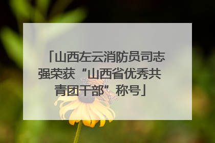 山西左云消防员司志强荣获“山西省优秀共青团干部”称号