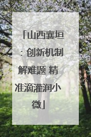 山西襄垣：创新机制解难题 精准滴灌润小微