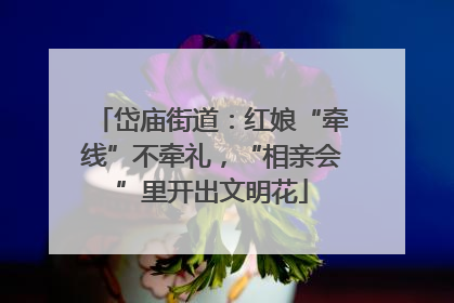 岱庙街道：红娘“牵线”不牵礼，“相亲会”里开出文明花