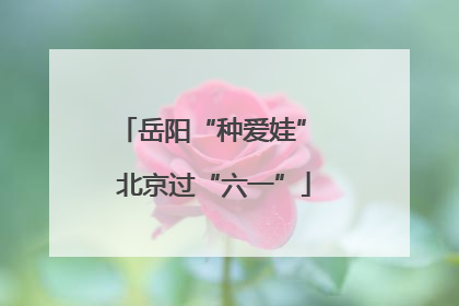 岳阳“种爱娃” 北京过“六一”