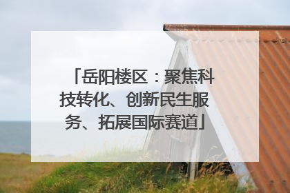岳阳楼区：聚焦科技转化、创新民生服务、拓展国际赛道