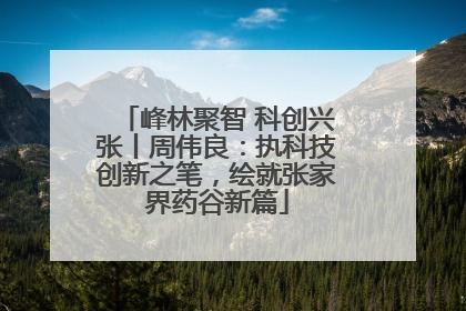 峰林聚智 科创兴张丨周伟良：执科技创新之笔，绘就张家界药谷新篇