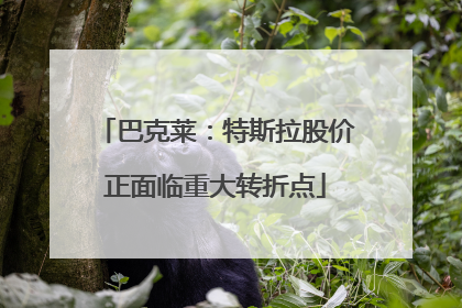 巴克莱：特斯拉股价正面临重大转折点