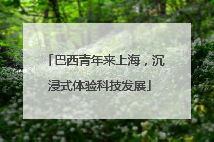 巴西青年来上海，沉浸式体验科技发展