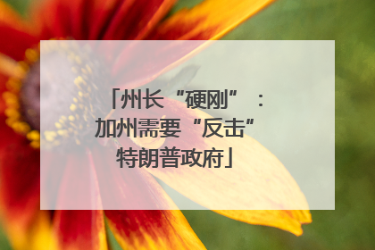 州长“硬刚”：加州需要“反击”特朗普政府