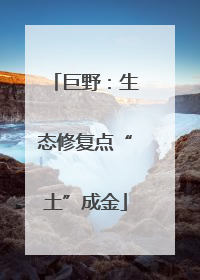 巨野：生态修复点“土”成金