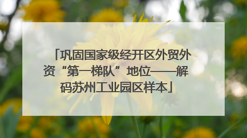 巩固国家级经开区外贸外资“第一梯队”地位——解码苏州工业园区样本