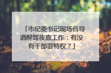 市纪委书记现场督导酒醉驾夜查工作：有没有干部耍特权？