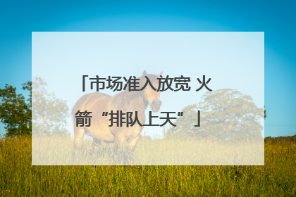 市场准入放宽 火箭“排队上天”