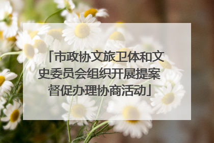 市政协文旅卫体和文史委员会组织开展提案督促办理协商活动