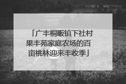 广丰桐畈镇下社村果丰苑家庭农场的百亩桃林迎来丰收季