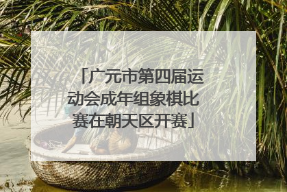 广元市第四届运动会成年组象棋比赛在朝天区开赛