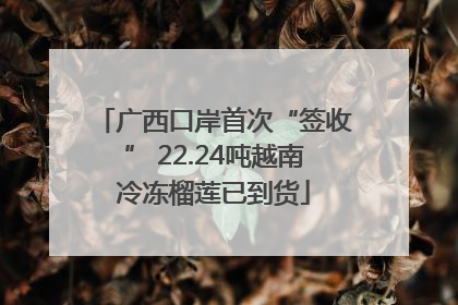 广西口岸首次“签收” 22.24吨越南冷冻榴莲已到货
