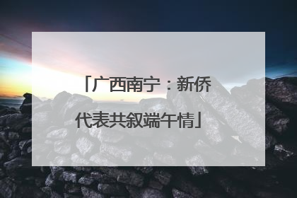 广西南宁：新侨代表共叙端午情