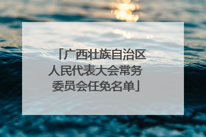 广西壮族自治区人民代表大会常务委员会任免名单