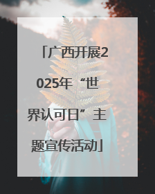 广西开展2025年“世界认可日”主题宣传活动