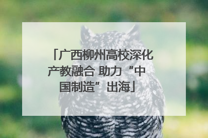 广西柳州高校深化产教融合 助力“中国制造”出海