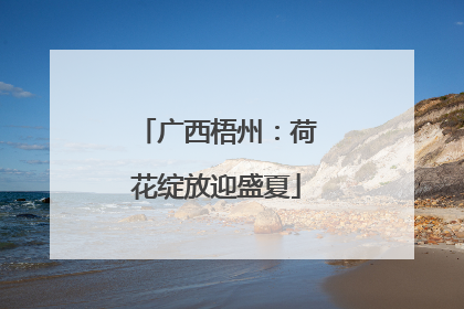 广西梧州：荷花绽放迎盛夏
