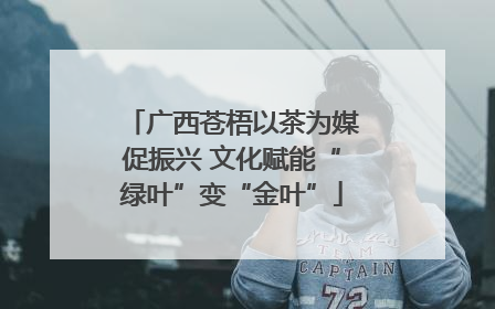 广西苍梧以茶为媒促振兴 文化赋能“绿叶”变“金叶”