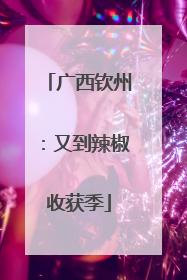 广西钦州：又到辣椒收获季