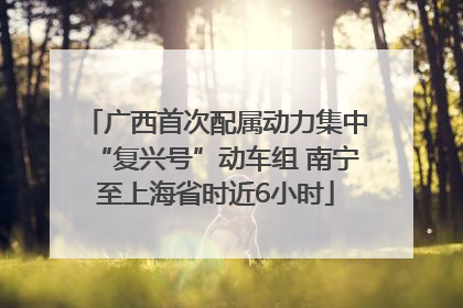 广西首次配属动力集中“复兴号”动车组 南宁至上海省时近6小时
