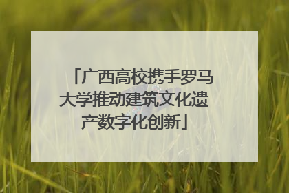 广西高校携手罗马大学推动建筑文化遗产数字化创新